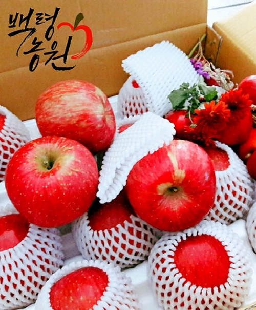 강릉팜 - 가정용흠과, 무료배송, 달콤새콤 아삭한 홍로 사과